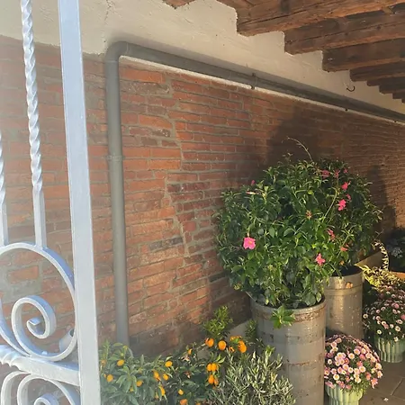 Il Fiore Nascosto * Bergamo